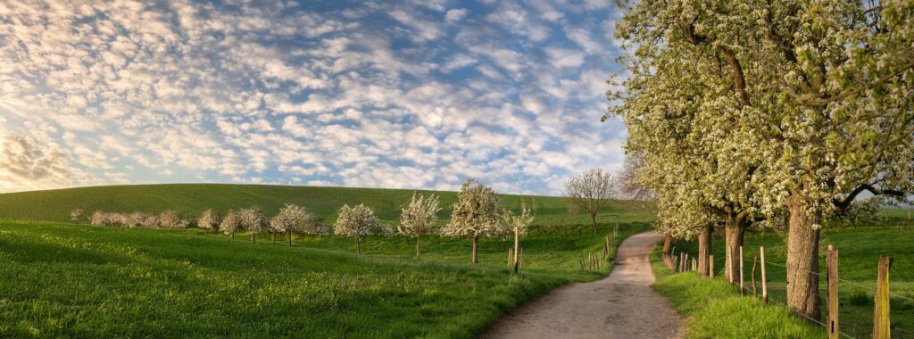 Gebäudereinigung in Leichlingen - Bild 2 Gebaeudereinigung In Leichlingen | Gebäudereinigung in Leichlingen